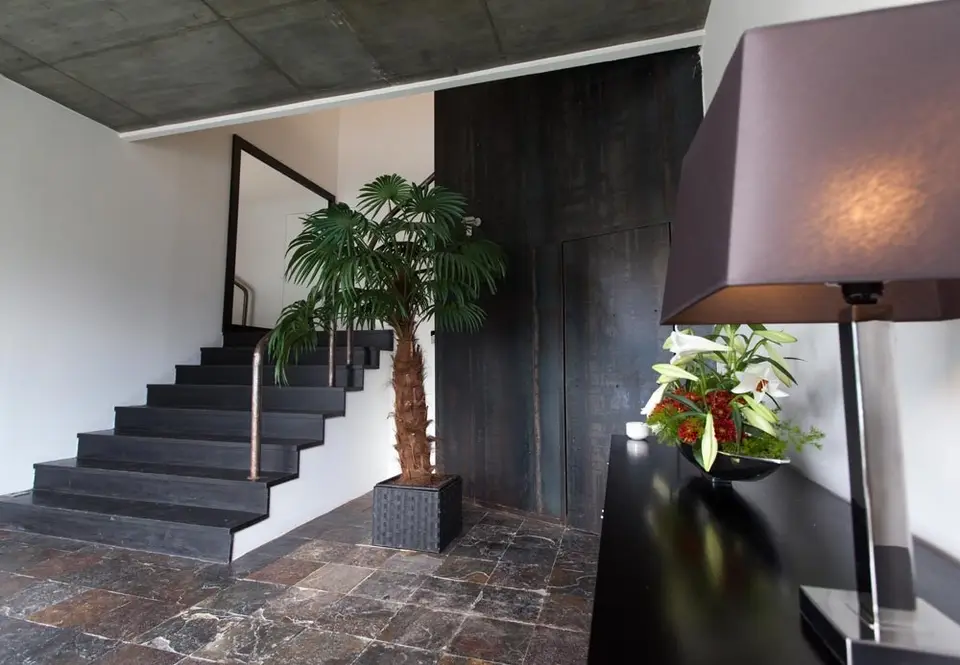 Interior e pratos do Carvão Preto em Braga, Braga (9)