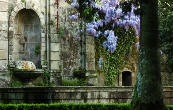 Interior e pratos do Largo do Paço | Casa da Calçada em Amarante, Amarante (9)