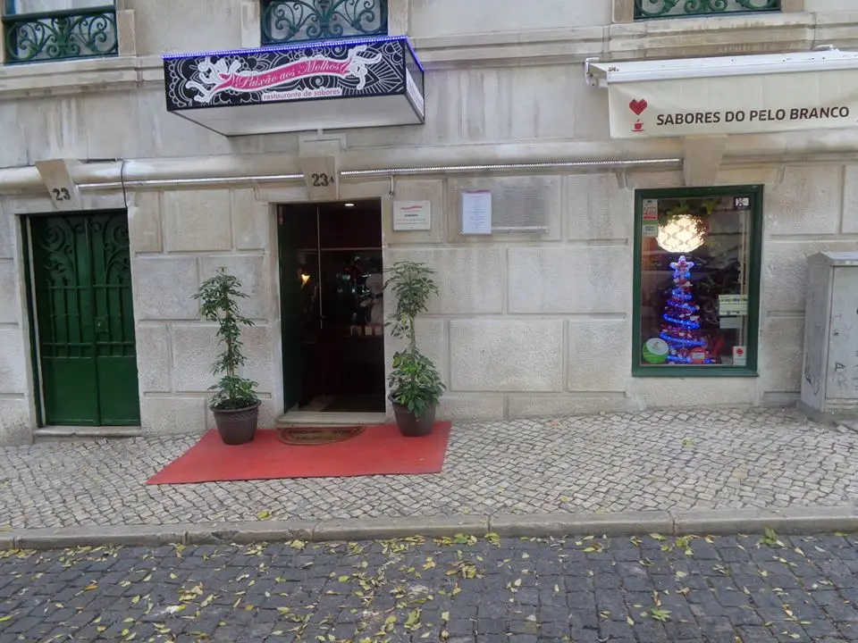 Interior e pratos do Paixão aos Molhos / Sabores do Pêlo Branco em Lisboa, Lisboa (3)