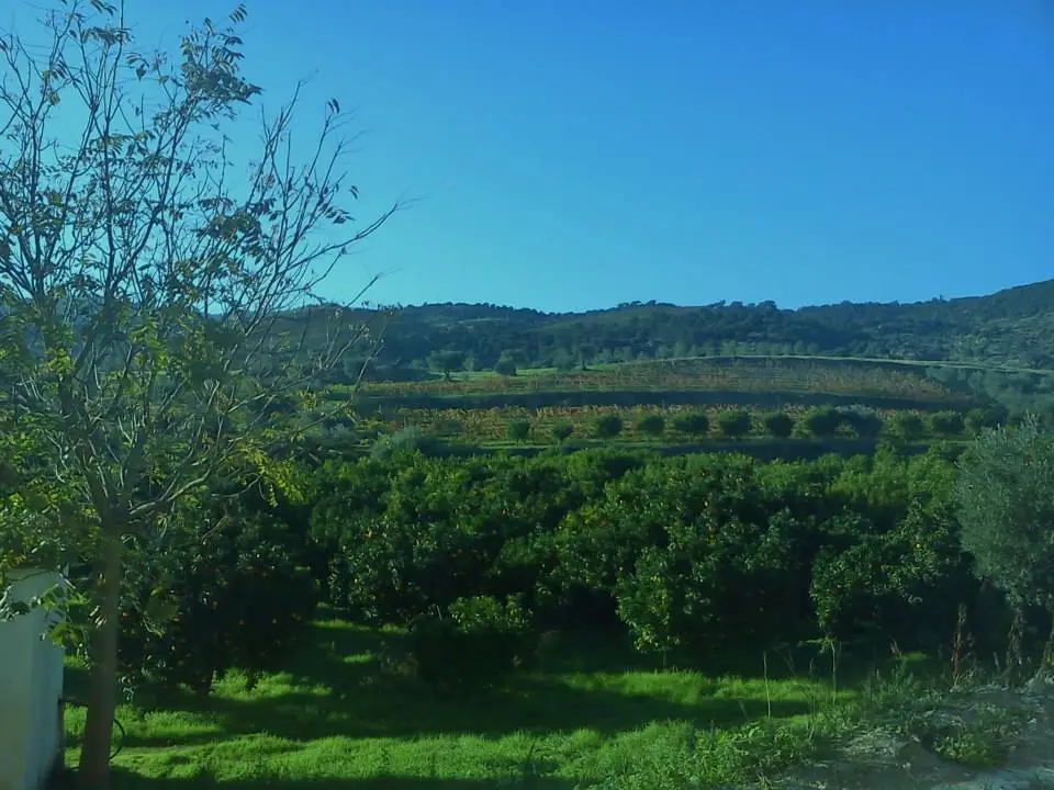 Interior e pratos do Vilariça em Vila Flor, Alfandega de Fé (4)