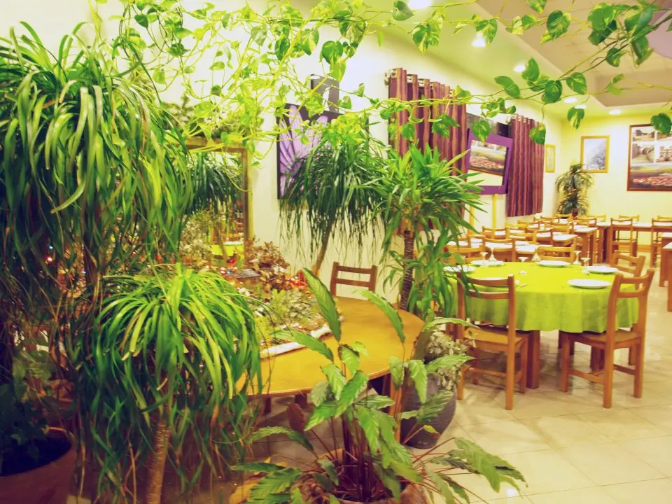 Pala do Conde, restaurante de internacional em Vila Flor, Vila Flor