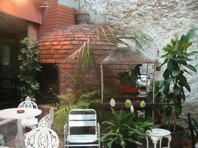 Interior e pratos do Forno Velho em Lisboa, Lisboa (8)