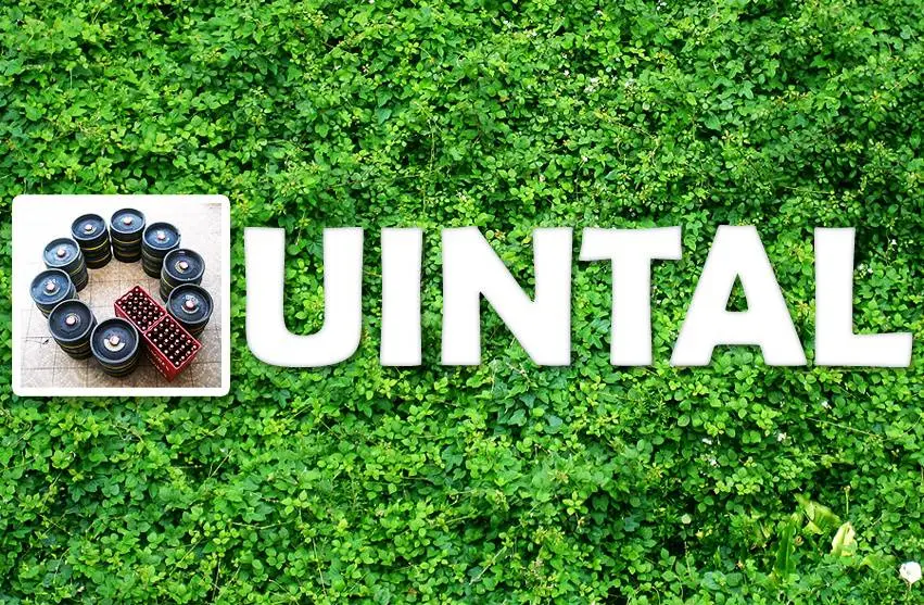 quintal, restaurante de italiana em Lisboa, Lisboa