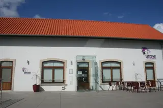 Interior e pratos do Terraço dos Petiscos em Barcelos, Barcelos (2)