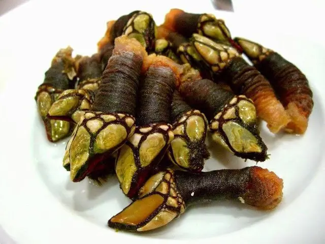 Interior e pratos do Restaurante Marisqueira O Ramiro em Lisboa, Lisboa (7)
