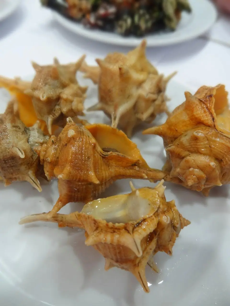 Interior e pratos do Restaurante Marisqueira O Ramiro em Lisboa, Lisboa (10)