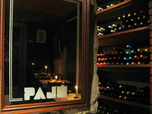 Interior e pratos do Pajú em Porto, Porto (4)