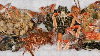 Interior e pratos do Senhor Peixe - Marisqueira em Lisboa, Lisboa (7)